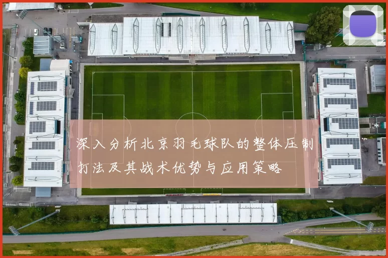 深入分析北京羽毛球队的整体压制打法及其战术优势与应用策略