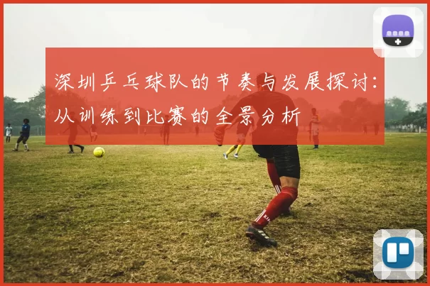 深圳乒乓球队的节奏与发展探讨：从训练到比赛的全景分析