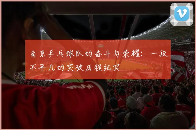 南京乒乓球队的奋斗与荣耀：一段不平凡的突破历程纪实