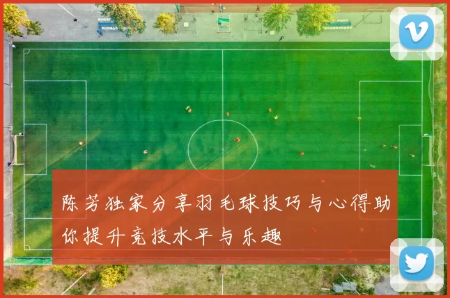 陈芳独家分享羽毛球技巧与心得助你提升竞技水平与乐趣
