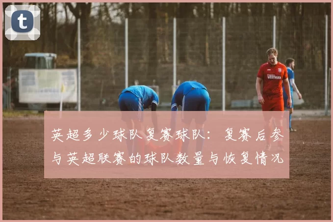 英超多少球队复赛球队：复赛后参与英超联赛的球队数量与恢复情况