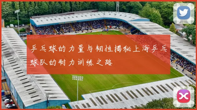 乒乓球的力量与韧性揭秘上海乒乓球队的耐力训练之路