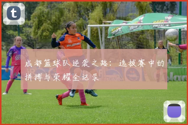成都篮球队逆袭之路：选拔赛中的拼搏与荣耀全记录