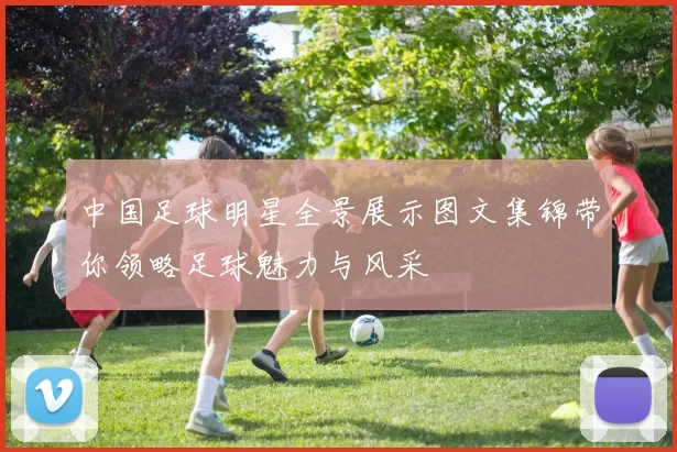 中国足球明星全景展示图文集锦带你领略足球魅力与风采