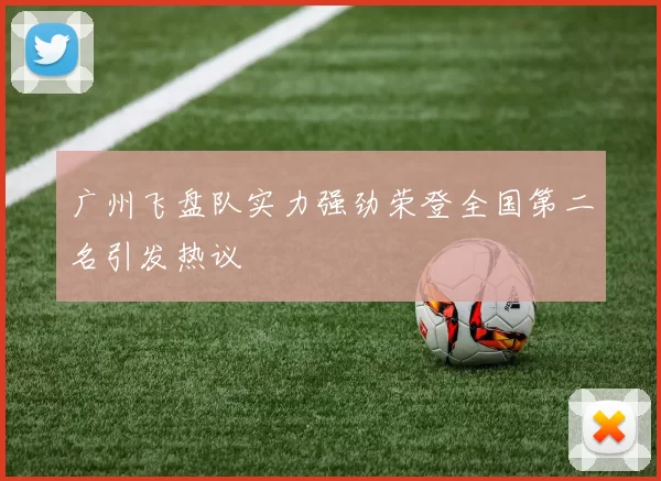 广州飞盘队实力强劲荣登全国第二名引发热议