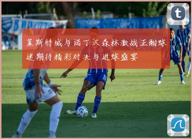莱斯特城与诺丁汉森林激战正酣球迷期待精彩对决与进球盛宴