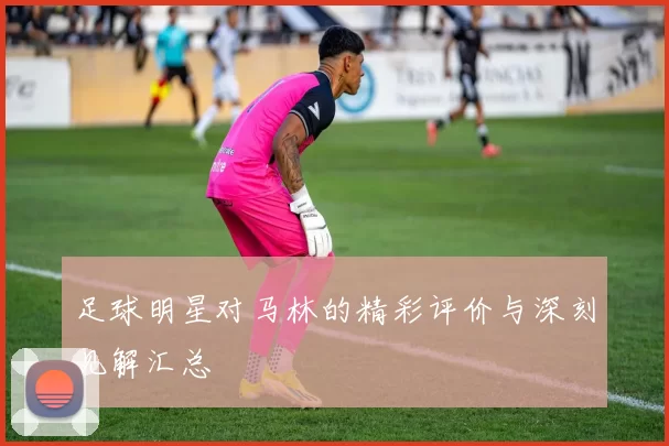 足球明星对马林的精彩评价与深刻见解汇总